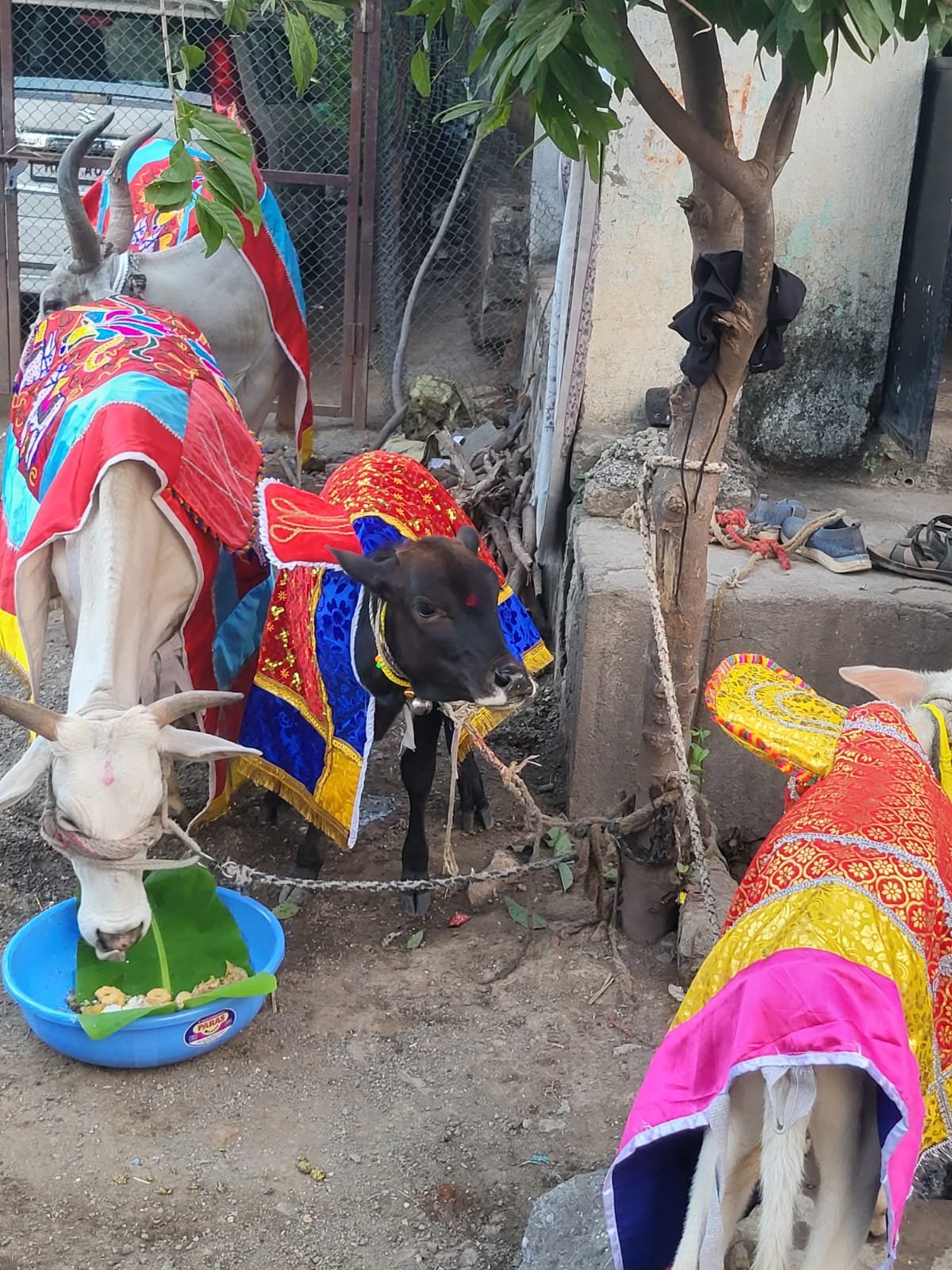 Spiritual Ritual Practice